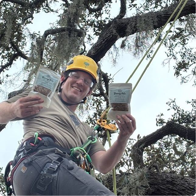 Sponsor at International Tree Climbing Competition